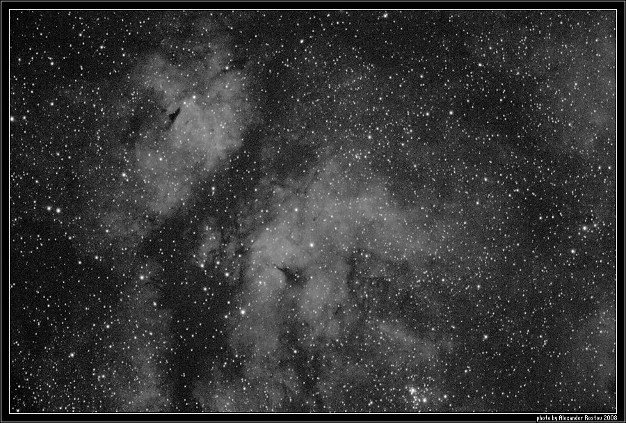IC 1318 Butterfly nebula astrophoto