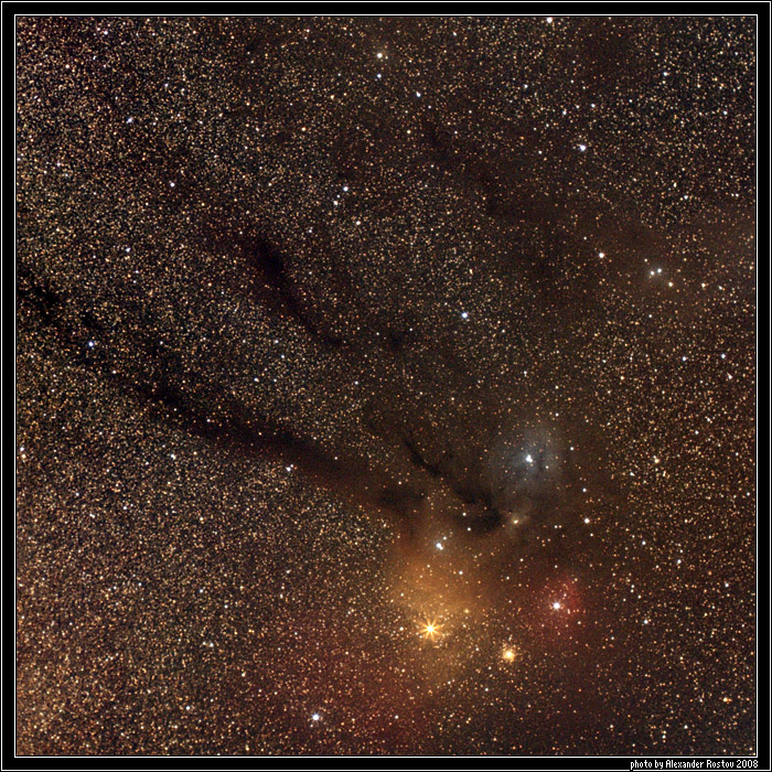 Rho Ophiuchi nebulae complex astrophoto